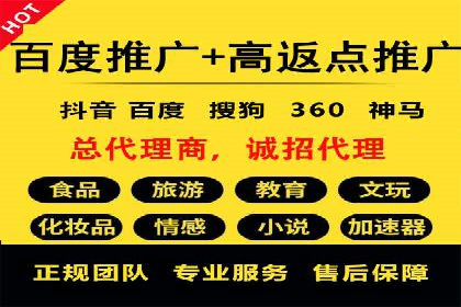 知名SEM公司案例分析：优化策略与成果